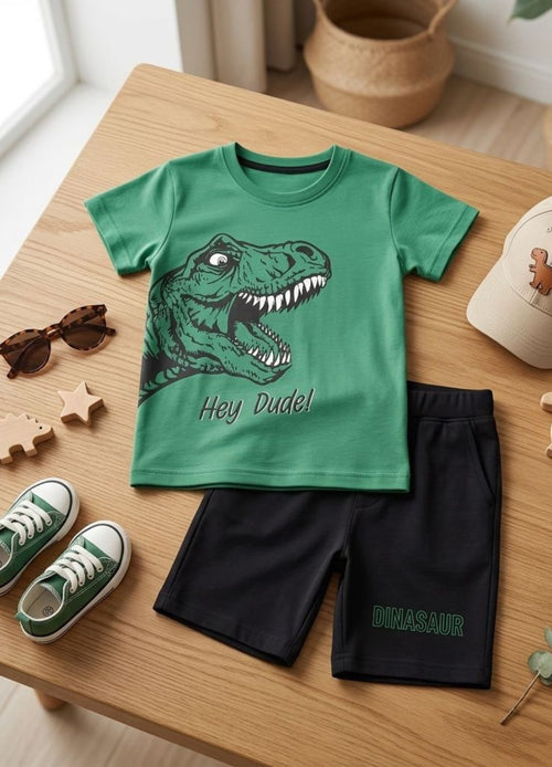 Kids Dinosaur Graphic T-Shirt & Shorts Summer Co-Ord Set